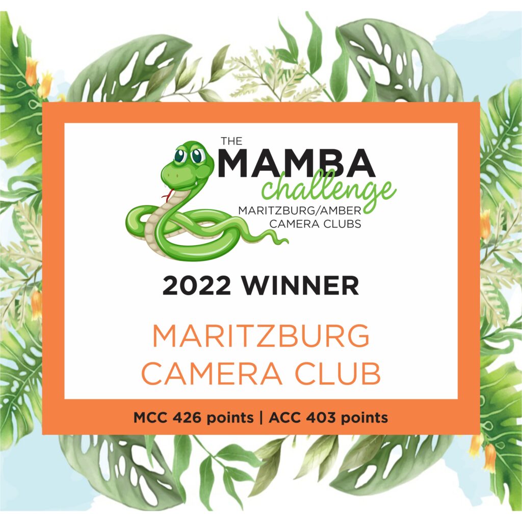 mamba winners
