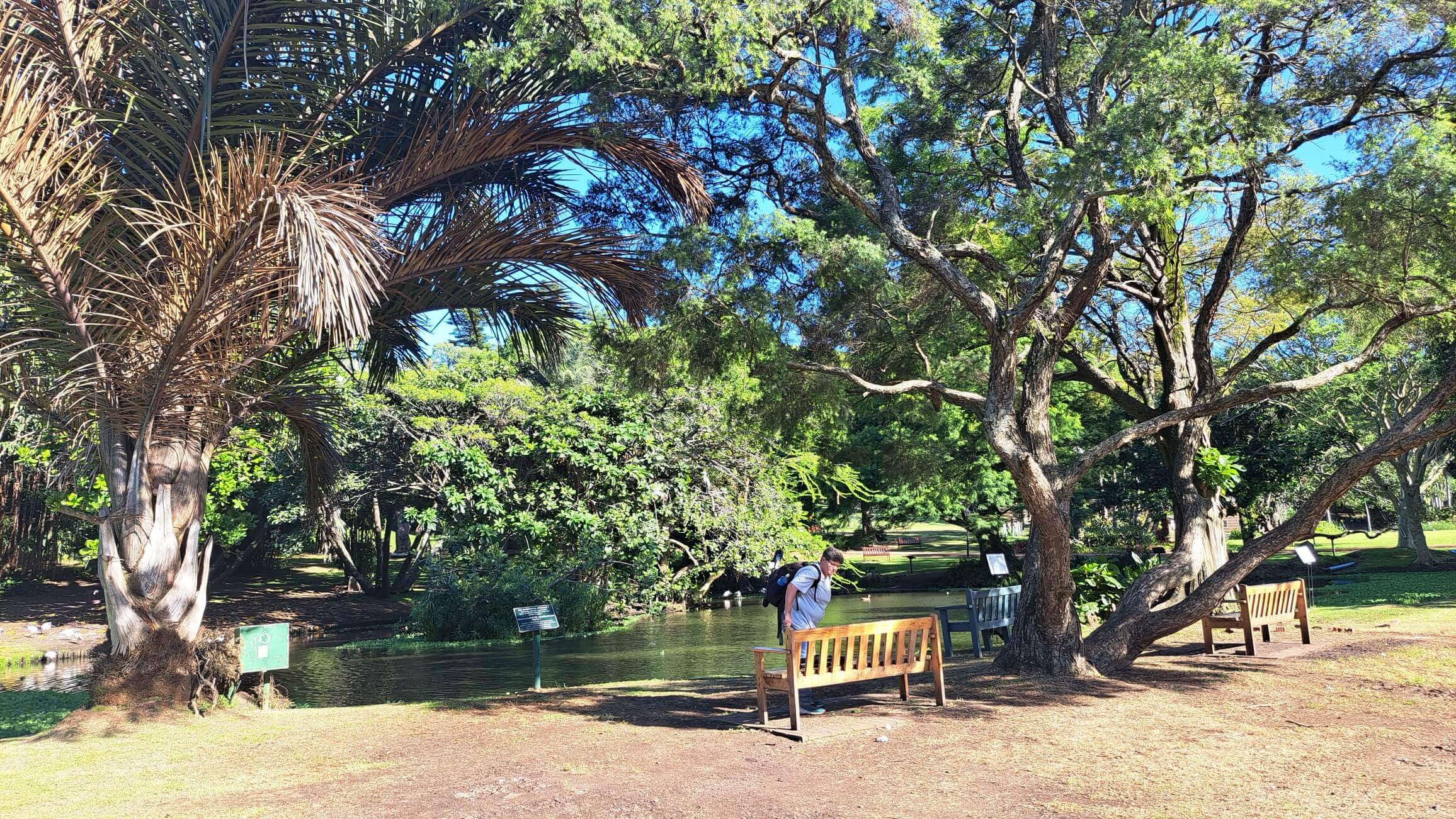 Lake. The herons generally hang out here catching fish.