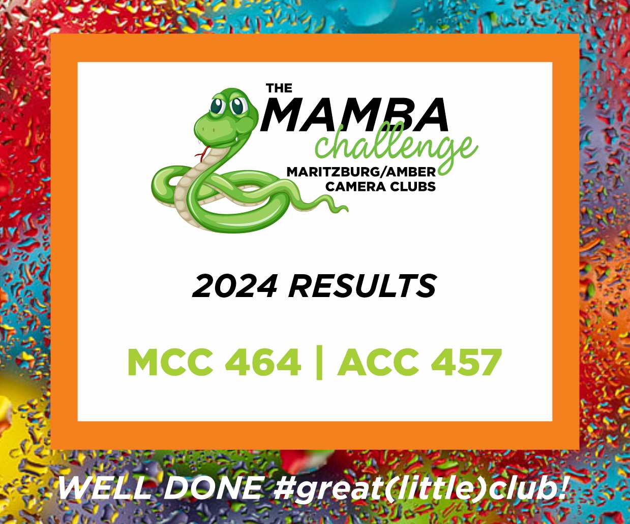 mamba results