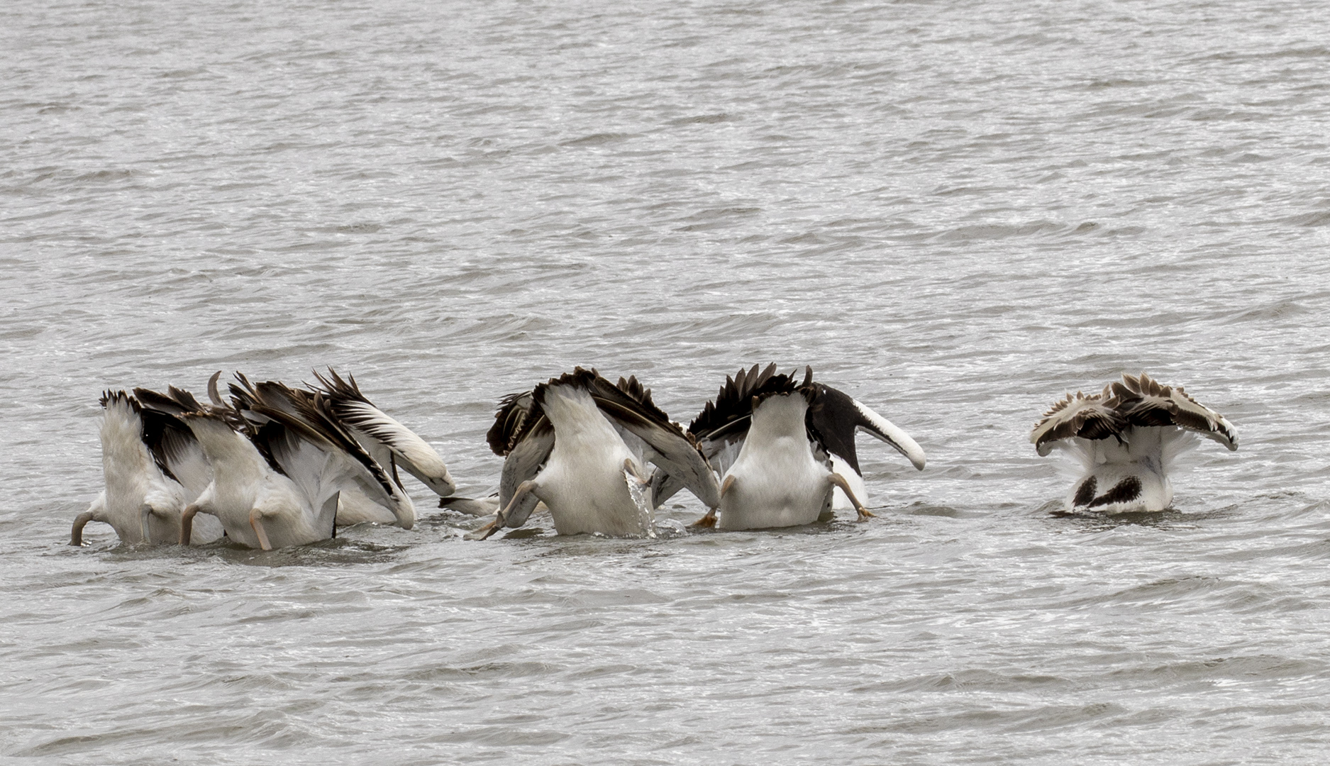 CC-2S-Lets go fishing-Sandra-Comrie