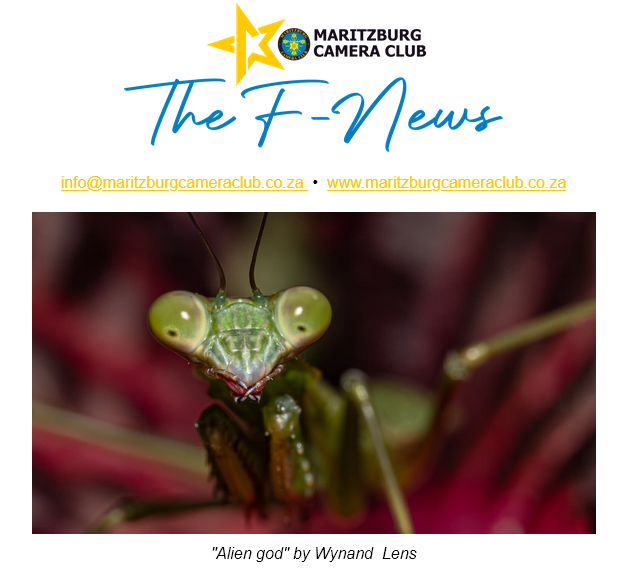 Firefox_Screenshot_2025-07-12T12-42-36.920Z