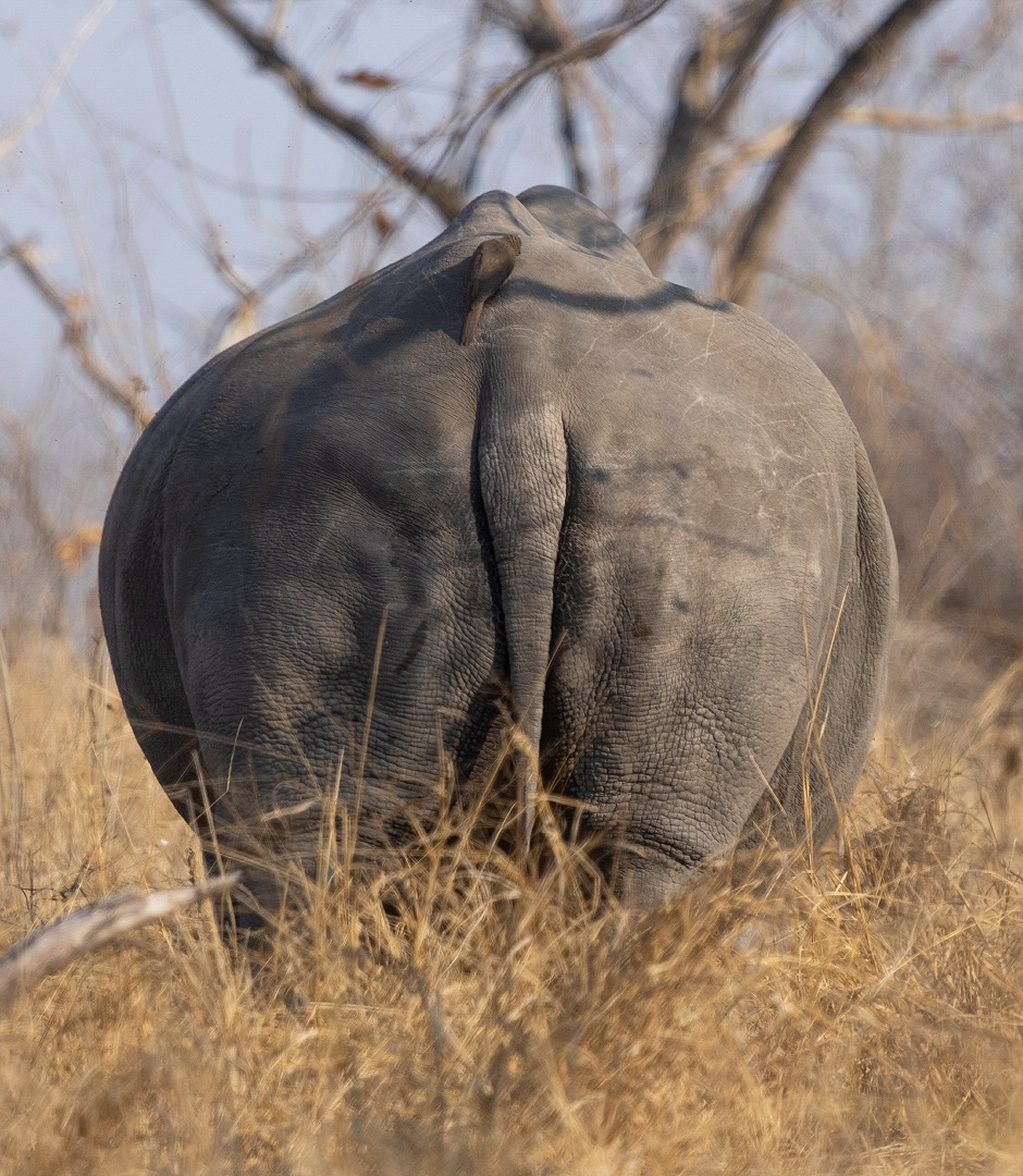 WhatsApp Image 2025-09-19 at 10.55.31_c8da2a53