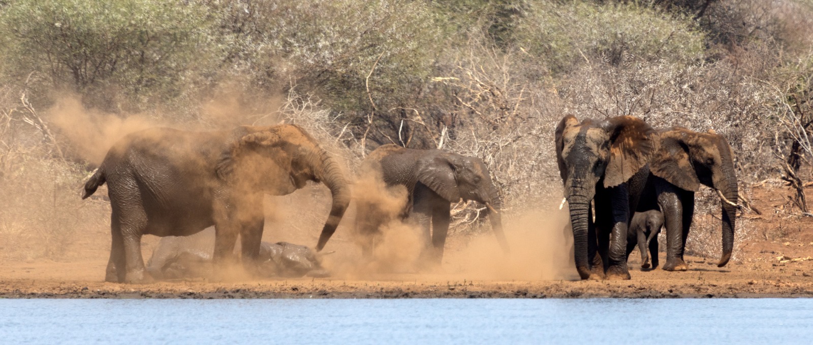 WhatsApp Image 2025-09-19 at 10.55.31_f86dde3d