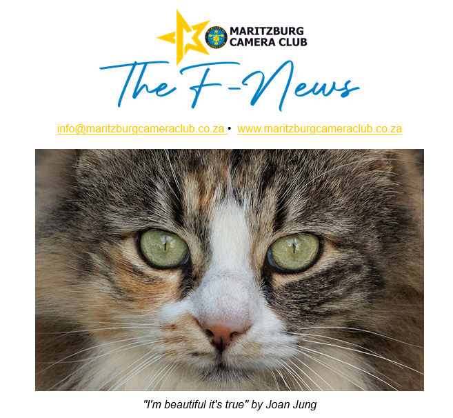 Screenshot 2025-11-30 111500