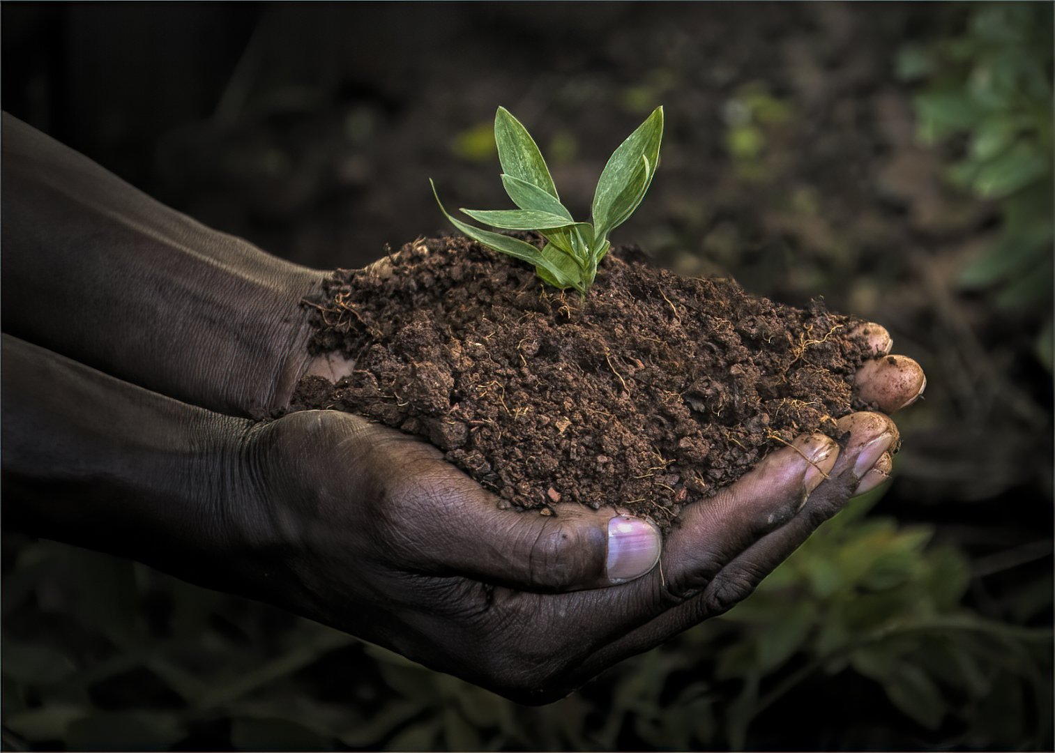 CC-6S2-From Dust To Dust-Leon-Heyes